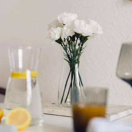 Comfort Apartment Im Zentrum 42 Μαγδεβούργο