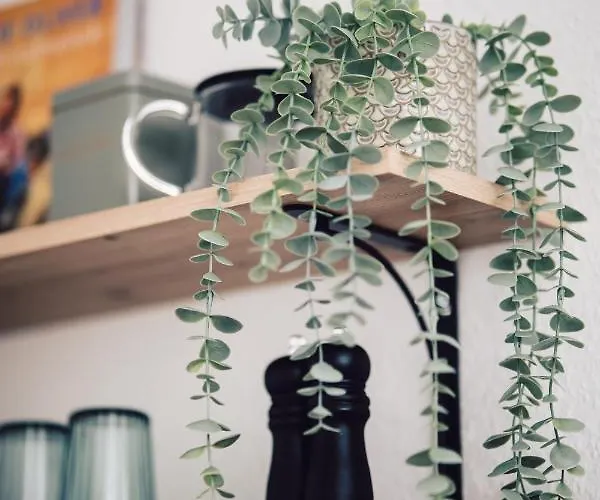 Comfort Im Zentrum 42 *